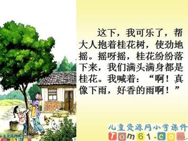 《桂花雨》ppt.ppt_第3页