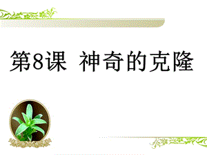 《神奇的克隆》第二课时课件.ppt