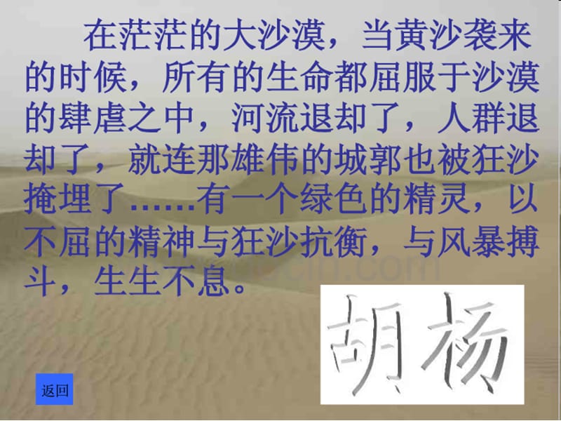 昆阳镇二小五年级语文鲁晓歌PPT《胡杨赞》.ppt_第2页