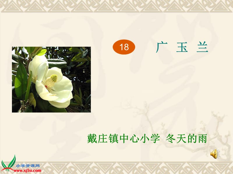 18《广玉兰》(10).ppt_第1页