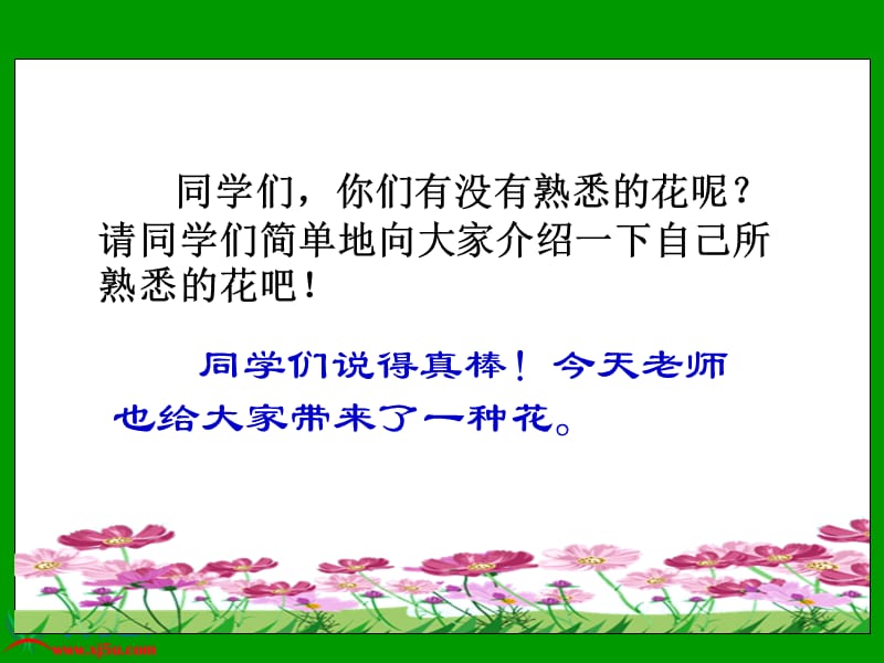 19《夹竹桃》(7).ppt_第1页