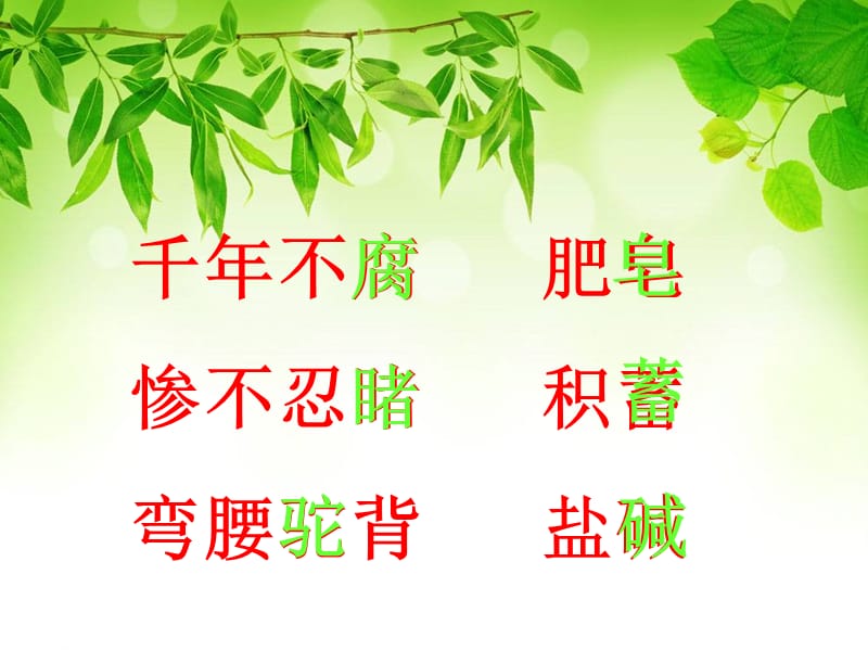 胡杨赞-课件.ppt_第3页