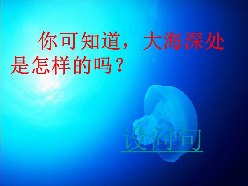 《海底世界》课件.ppt_第3页