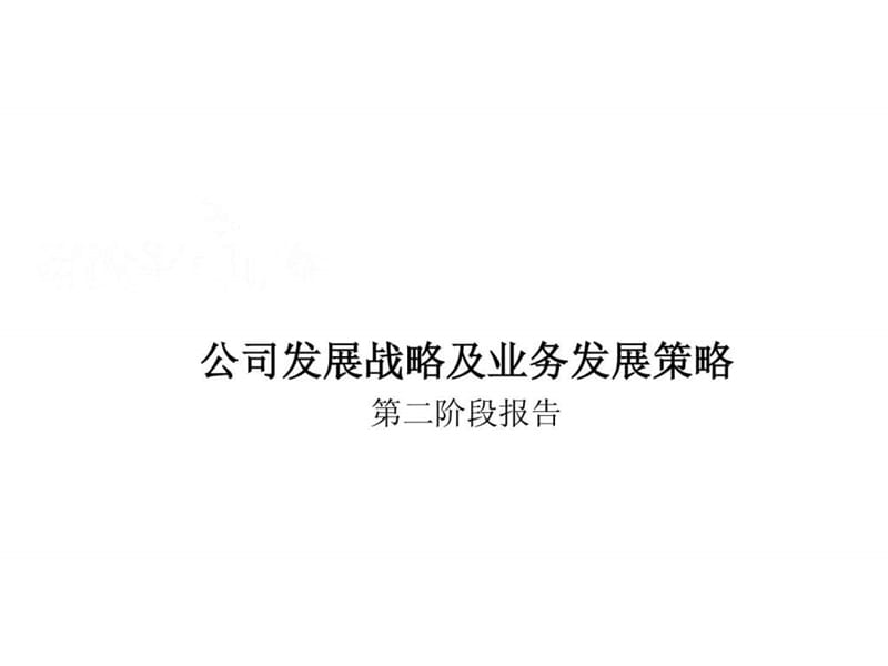 公司发展战略及业务发展策略第二阶段报告.ppt_第1页