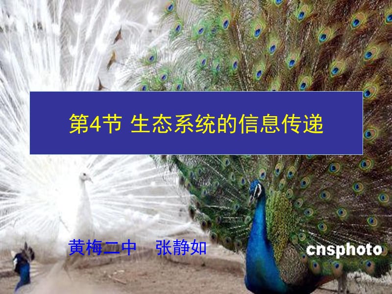 生态系统的信息传递.ppt_第1页