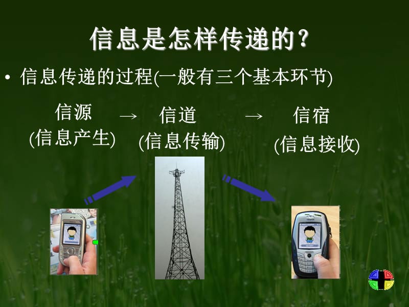 生态系统的信息传递.ppt_第3页