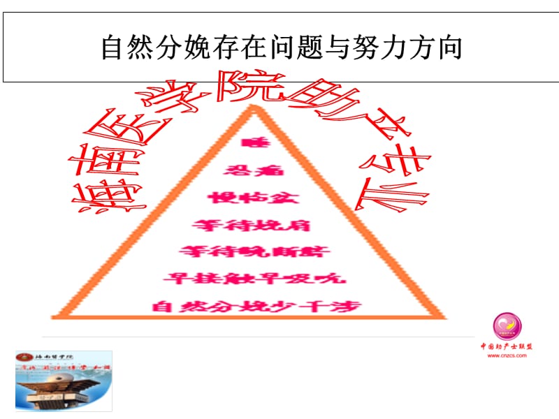 晚断脐循证研究ppt课件.ppt_第3页