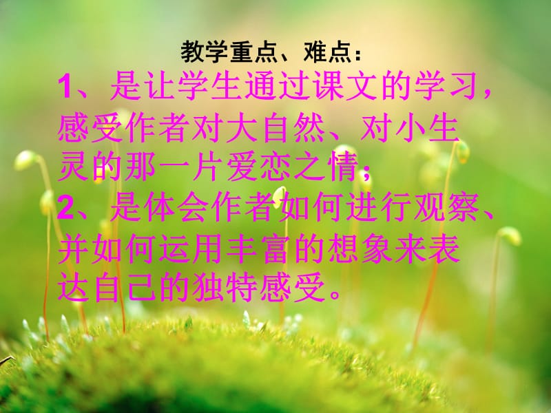 《草虫的村落》ＰＰＴ课件(1).ppt_第3页