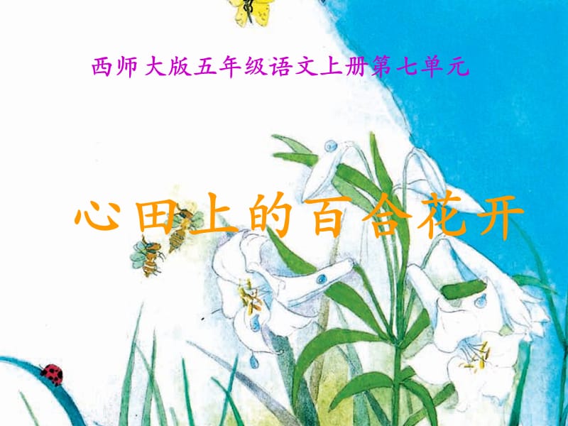 《第28课心田上的百合花》PPT课件(1).ppt_第1页