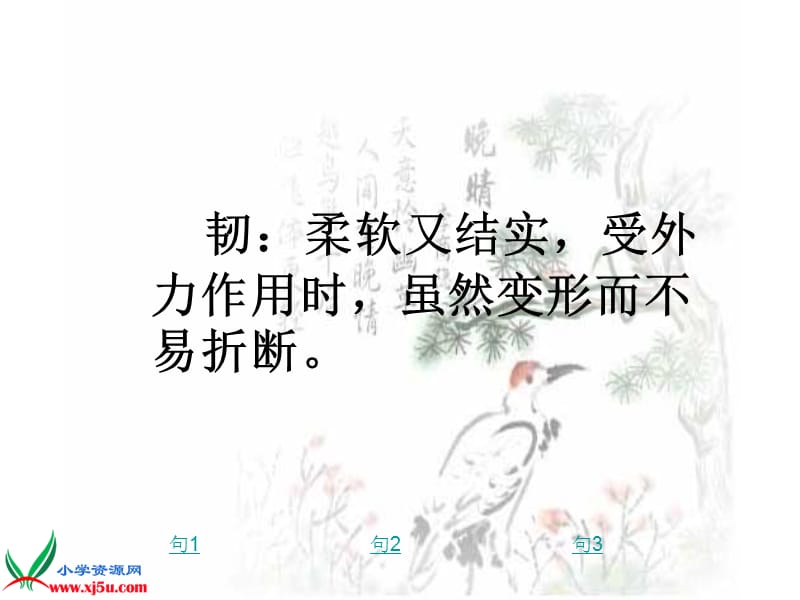 19《夹竹桃》(2).ppt_第3页