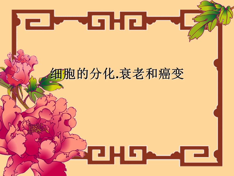 细胞的分化衰老.ppt_第1页