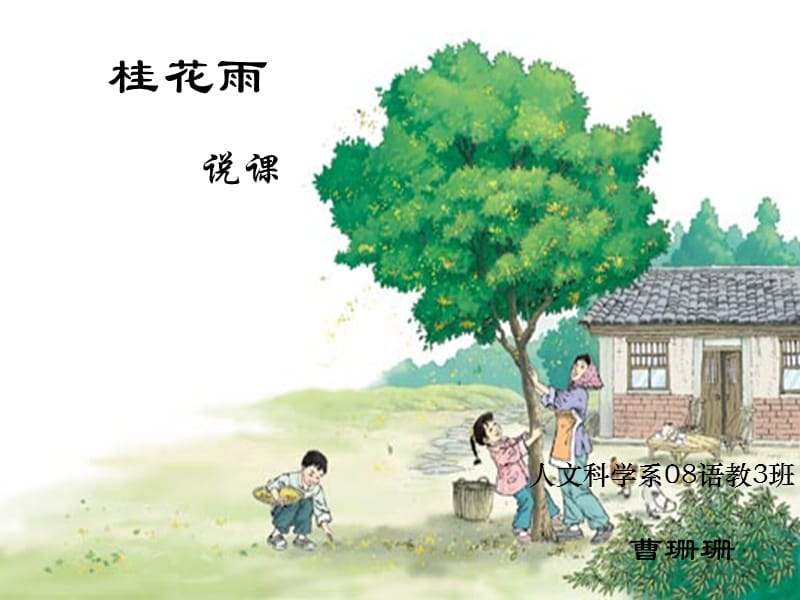 《桂花雨》说课稿.ppt_第1页