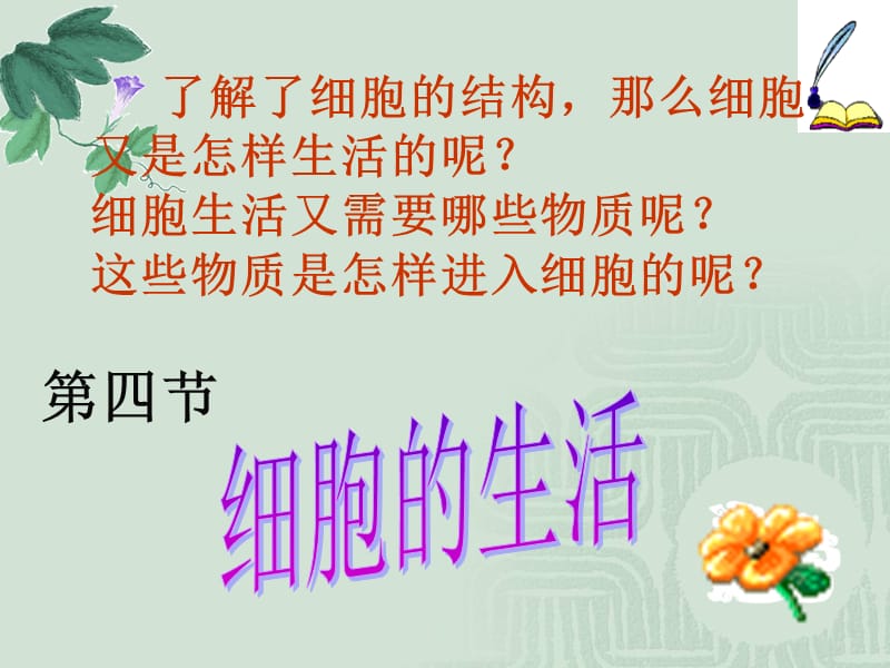 细胞的生活四课时.ppt_第2页