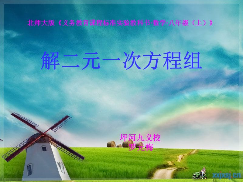 罗元梅.二元一次方程组和它的解.ppt_第1页