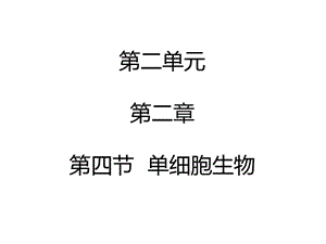 2017年秋人教版七年级上册生物课件2.2.4单细胞生物（共13张PPT）.ppt