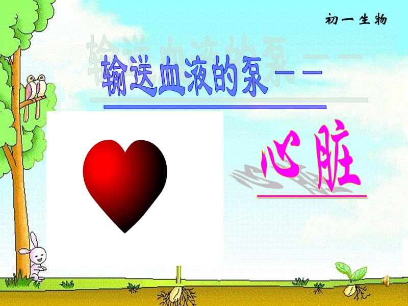 《输送血液的泵—心脏》课件.ppt_第1页