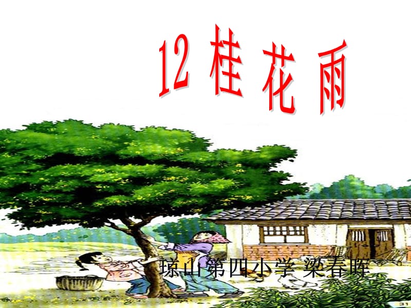12、桂花雨 (2).ppt_第1页