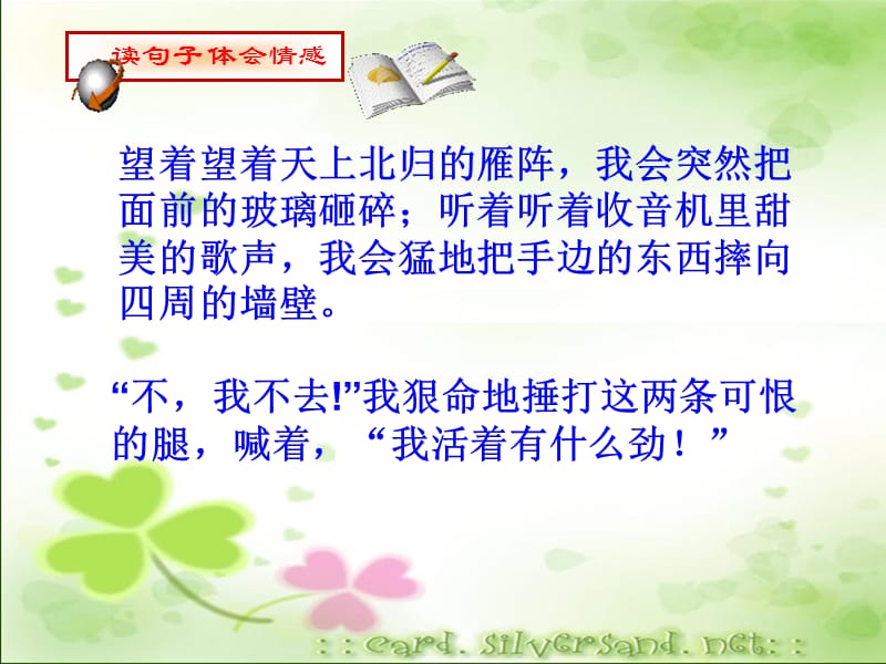 秋天的怀念.ppt.ppt_第3页