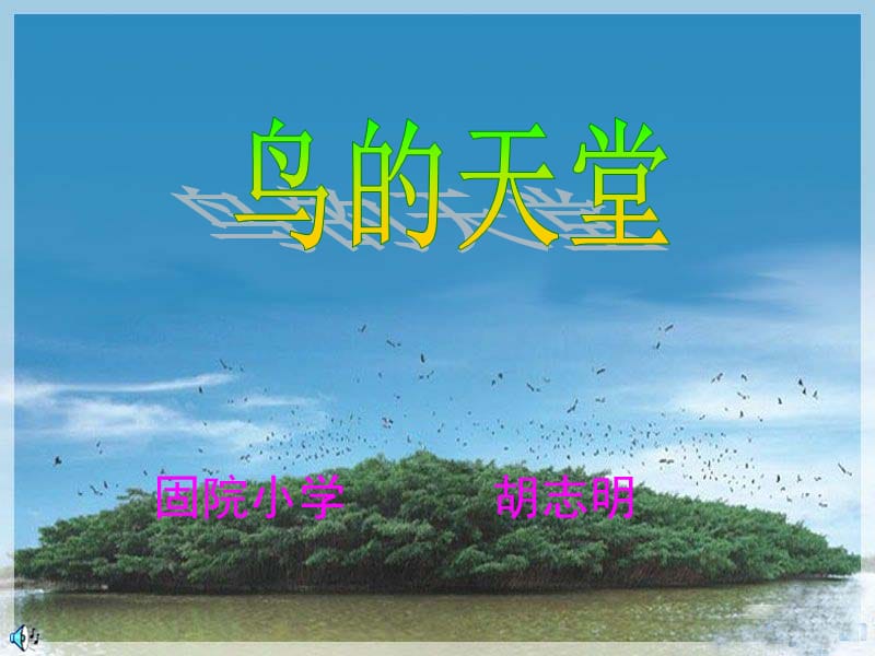 《鸟的天堂》第二_三课时.ppt_第1页