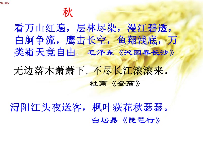 故都的秋meippt课件.ppt_第2页