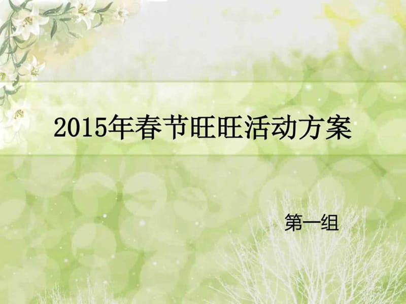 2015年春节活动方案_1426347153.ppt_第1页