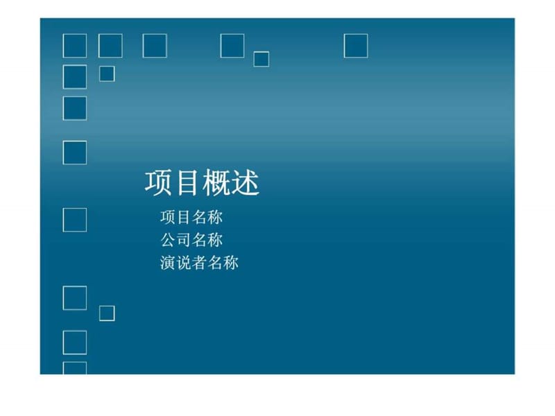 项目概述.ppt_第1页