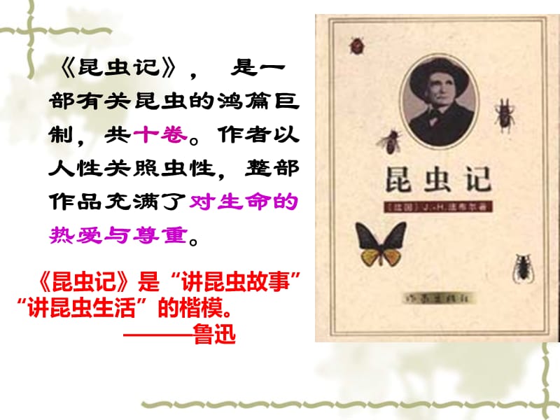 绿色蝈蝈课件.ppt.ppt_第3页