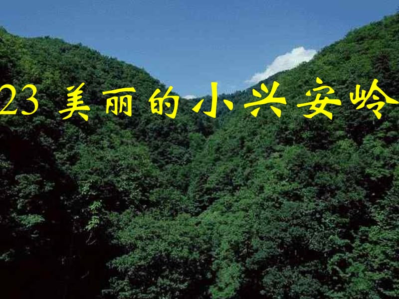 《美丽的小兴安岭》教学课件1.ppt_第1页