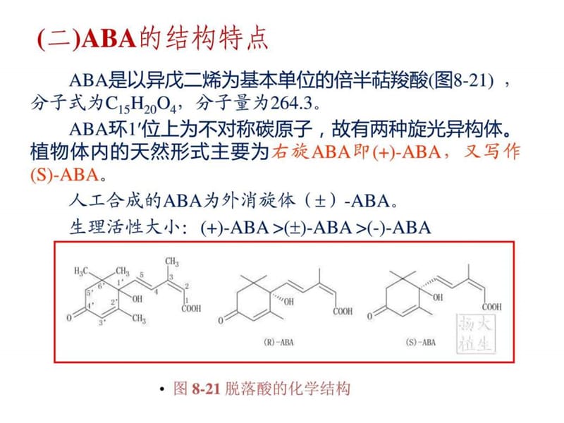 东北林业大学植物生理学10-植物生长物质.ppt_第3页