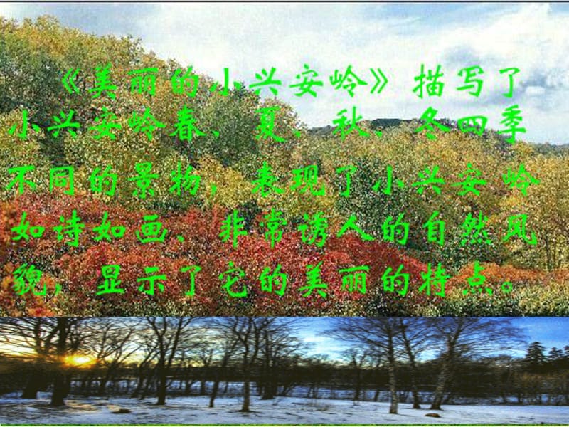 美丽小兴安岭.ppt.ppt_第3页