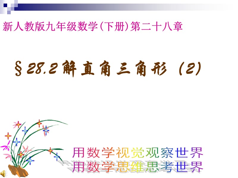 数学九年级下人教新课标28[1].2解直角三角形2课件.ppt_第1页