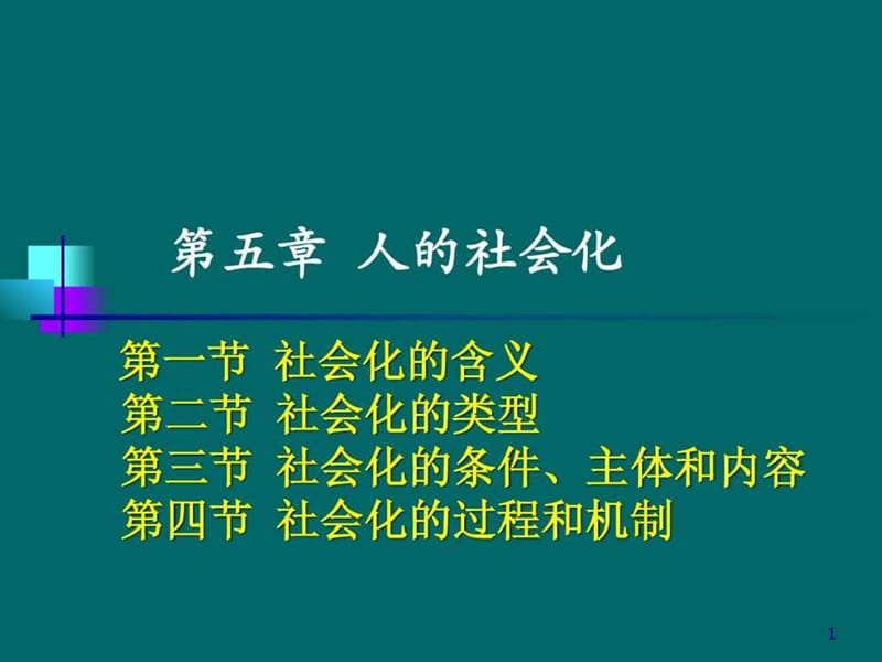 5第五章 人的社会化.ppt.ppt_第1页