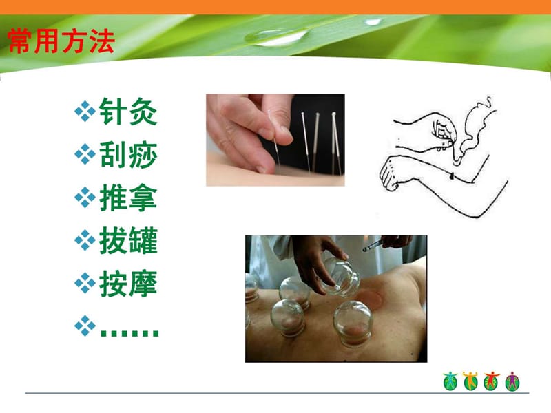 经络穴位培训课件.ppt_第3页