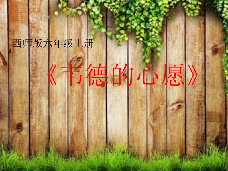 《韦德的心愿》.ppt_第1页