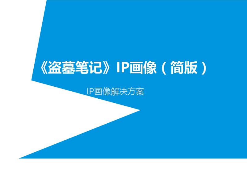 《盗墓笔记》IP画像解决方案.ppt_第1页