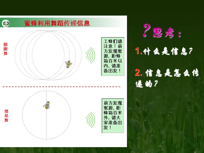 生态系统的信息传递 (2).ppt_第3页