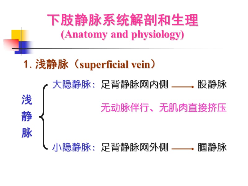 《静脉疾病介绍》ppt课件.ppt_第3页