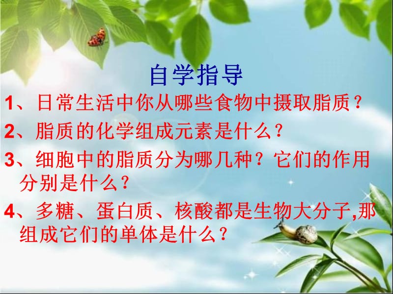 2013细胞中的糖类和脂质.ppt_第3页