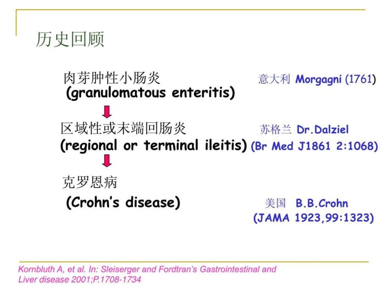 小肠克罗恩病诊断与治疗.ppt_第3页