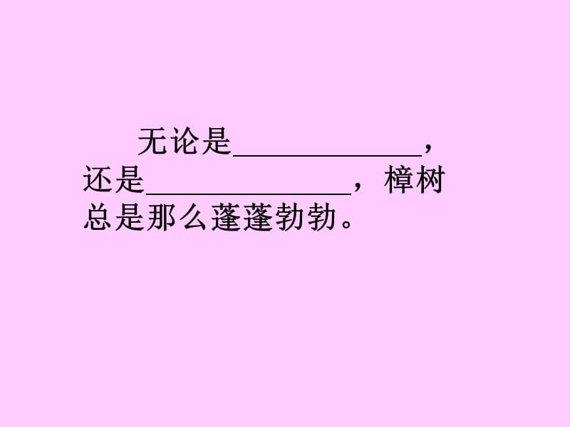 22宋庆龄故居的香樟树.ppt_第3页