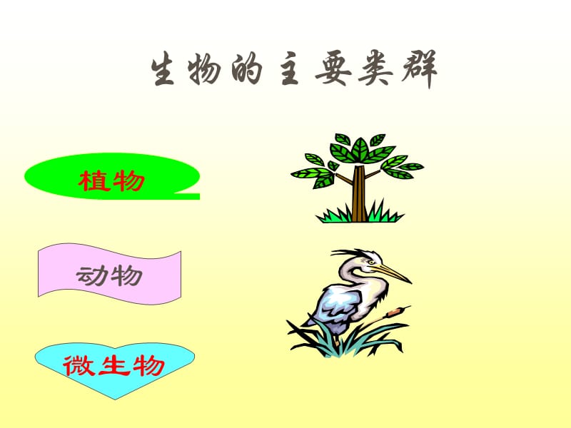 苏教版小学科学三年级上册《寻找有生命的物体》PPT课件(1).ppt_第2页