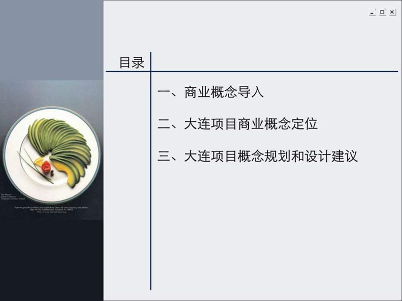 大连项目商业策划提案.ppt_第2页