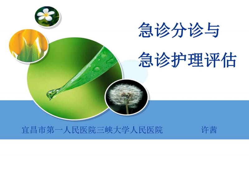 急诊分诊与急诊护理评估收藏.ppt_第2页