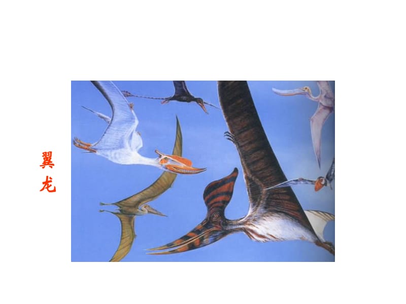 苏教版小学科学六年级下册《消失了的恐龙》PPT课件.ppt_第3页