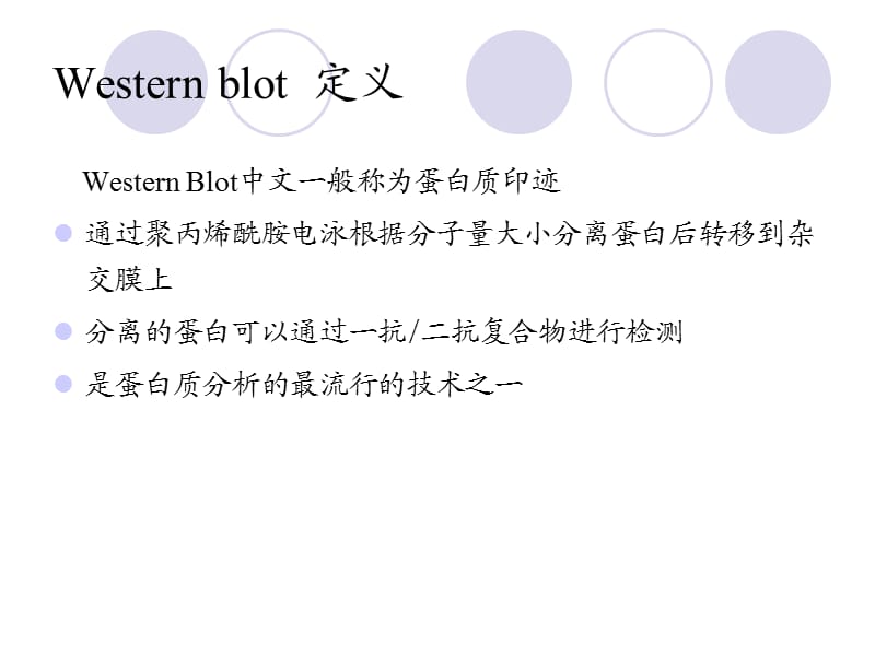 westernblot原理及操作流程.ppt_第2页