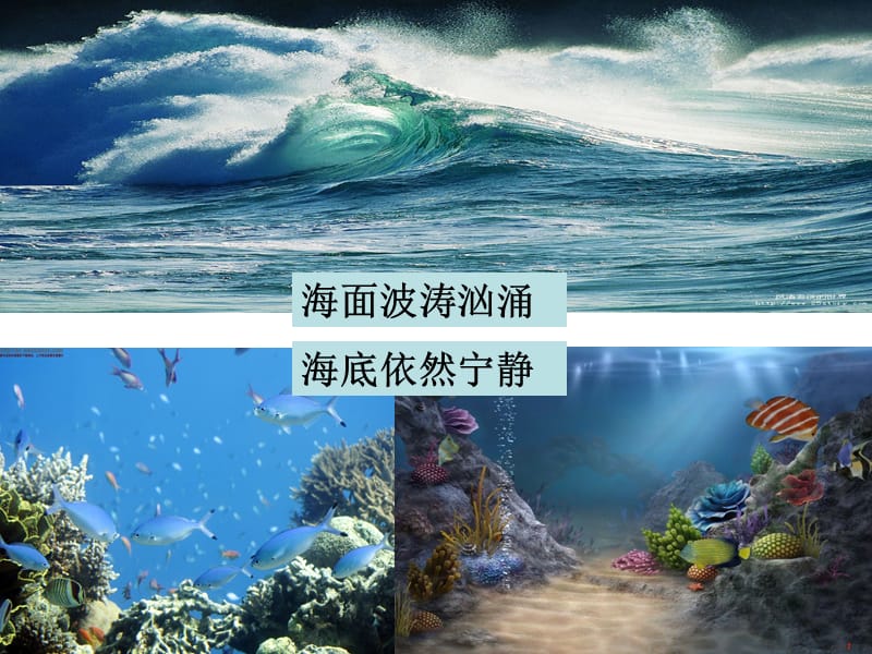 课件海底世界6.ppt_第3页