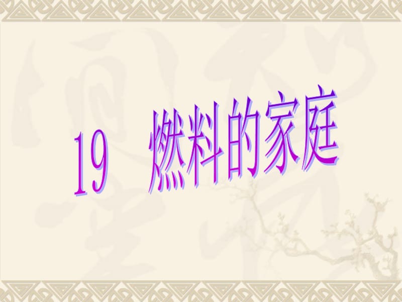 19《燃料的家庭》课件.ppt_第1页