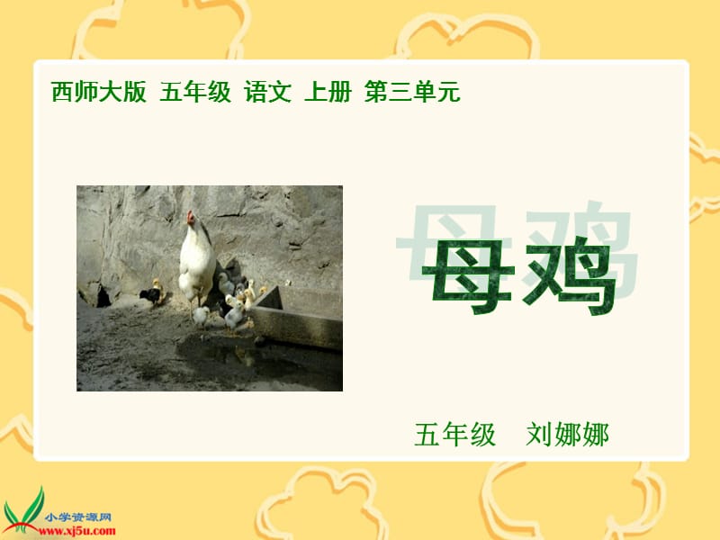 西师大版五年级语文上册《母鸡》课[1].ppt_第1页