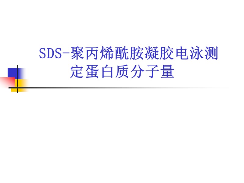 SDS聚丙烯酰胺凝胶电泳测定蛋白质分子量.ppt_第1页