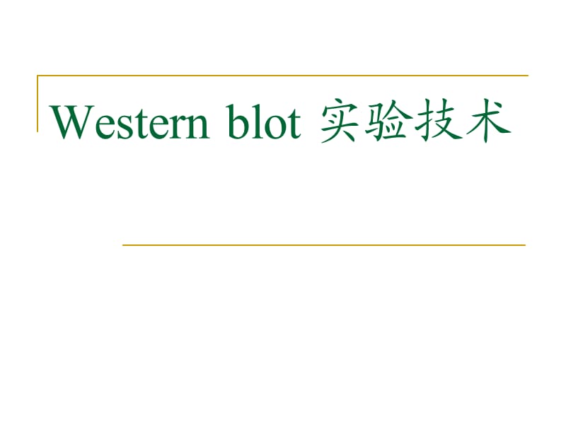 Westernblot实验技术.ppt_第1页